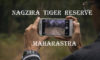 Into Leopard trails: Nagzira Tiger Reserve, Maharastra